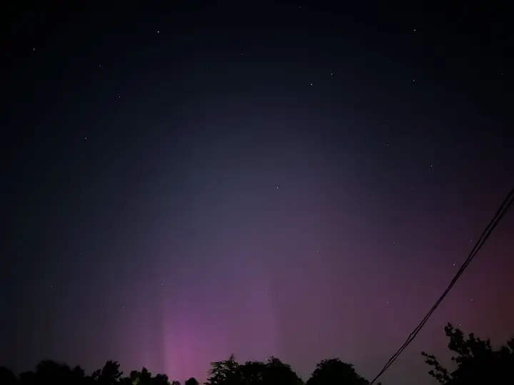 Purple twilight whispers, a silent, ethereal bloom against silhouetted trees – a moment of quiet wonder.