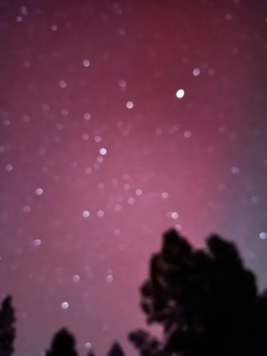 Velvet twilight whispers secrets, starlight dusts the shadowed branches, a moment suspended in ethereal grace.
