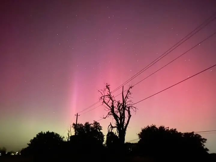 Ethereal hues dance, a silent, vibrant whisper across the night, framed by a stark, watchful tree.Hope this captures the essence!