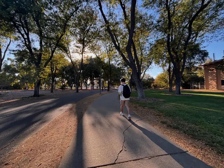 Sun-dappled path, a solitary figure walks onward, embraced by trees, bathed in golden afternoon light.