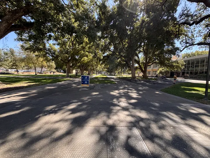 Sun-dappled path, ancient trees embrace, a tranquil campus breathes, inviting steps and whispered dreams.