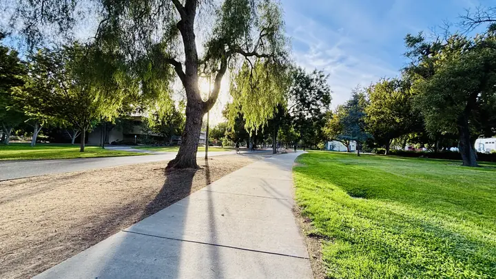 Golden light spills across a path, inviting shadows and a tranquil, sun-kissed afternoon stroll.